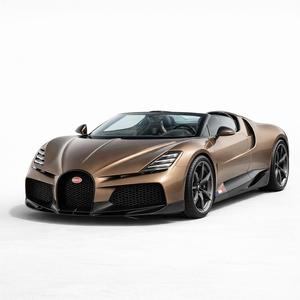 Image of a Bugatti W16 Mistral None