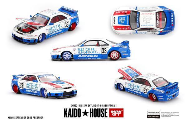 The Error of the Nissan Skyline GT-R (R33) BFTHR 1/64 Diecast Car by Kaido House